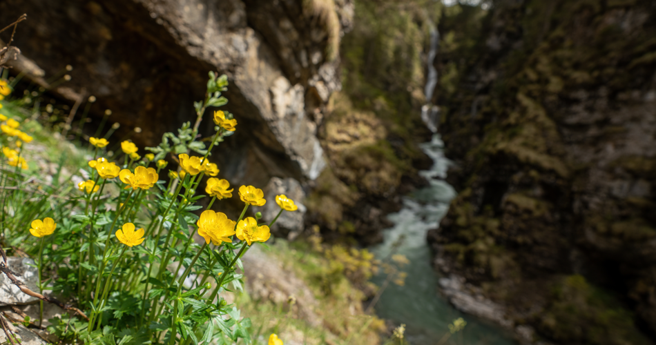 Rotlech gorge | © Tiroler Zugspitz Arena | Danijel Jovanovic