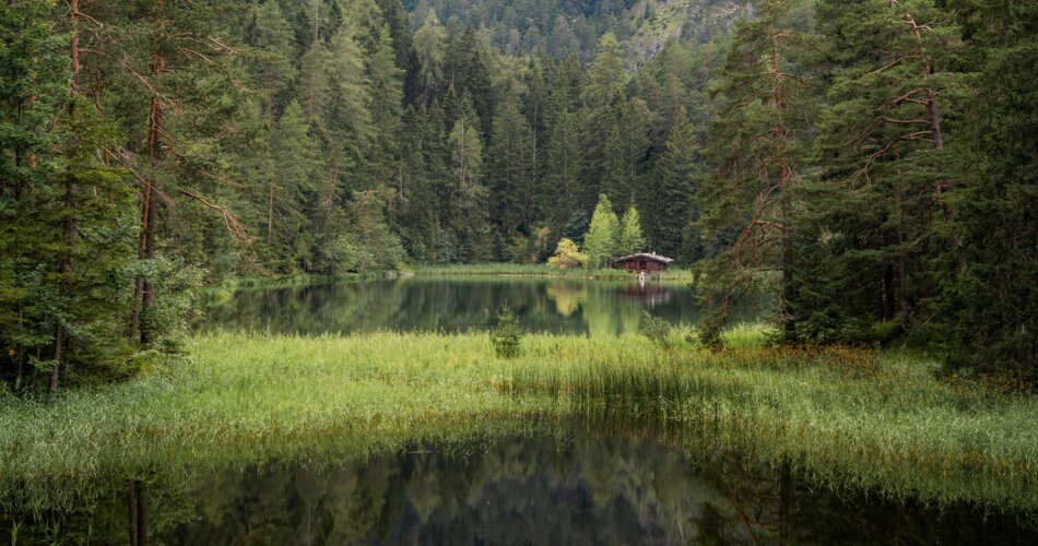 A small, completely wooded lake, shimmering green and overgrown with reeds, with a small wooden hut in the background.  | © Tiroler Zugspitz Arena/ Sam Oetiker