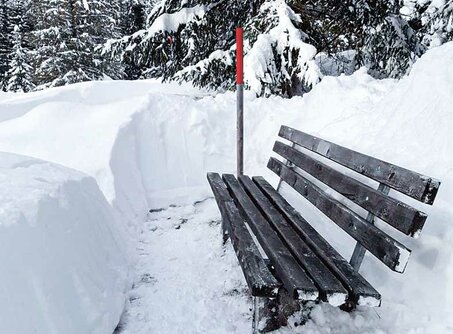 A bench in the snow, the snow was cleared away by our field staff to make the bench usable again. 
