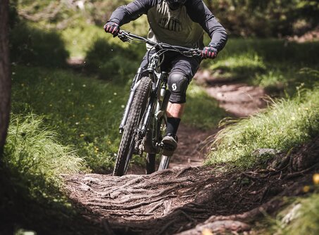 Trailfahrer im Wald | © Klaus Listl