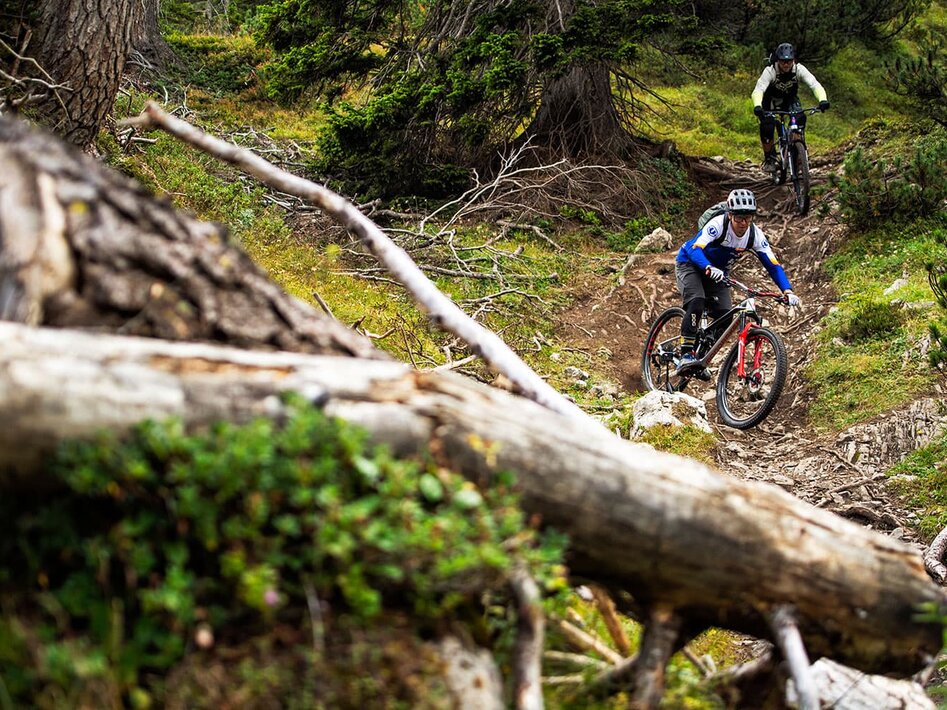 Trailfahrer im Wald | © Tiroler Zugspitz Arena / Zotz Lea