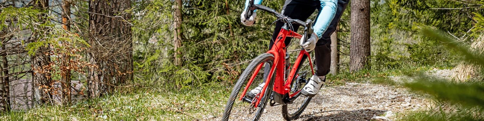 Radfahrer im Wald | © Tiroler Zugspitz Arena
