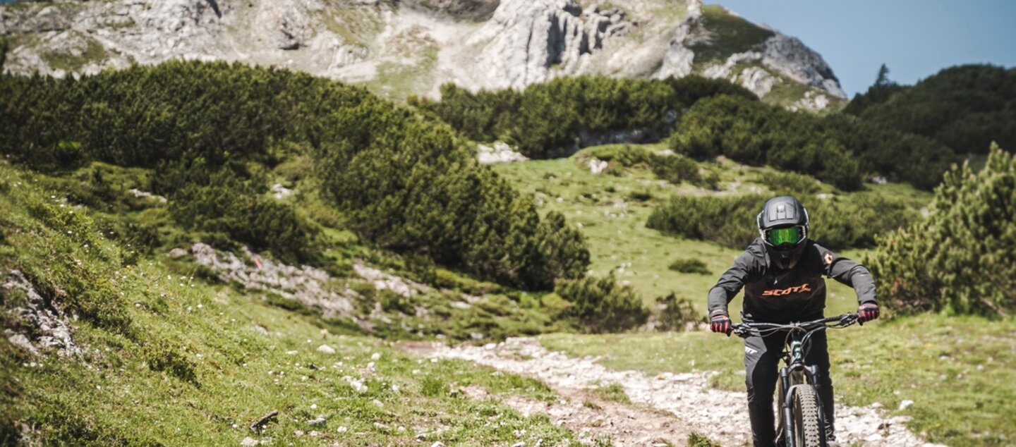 Trailfahrer mit Berge im Hintergrund | © Klaus Listl
