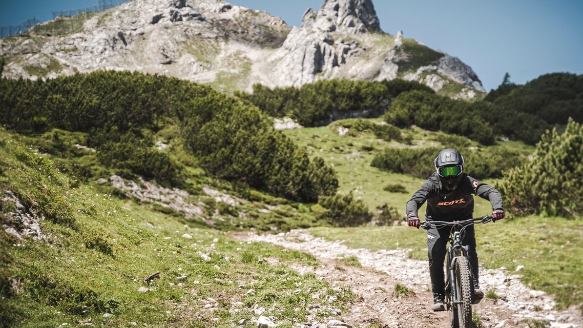 Trailfahrer mit Berge im Hintergrund | © Klaus Listl