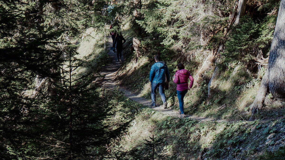 Menschen im Wald | © Lea Zotz / Tiroler Zugspitz Arena