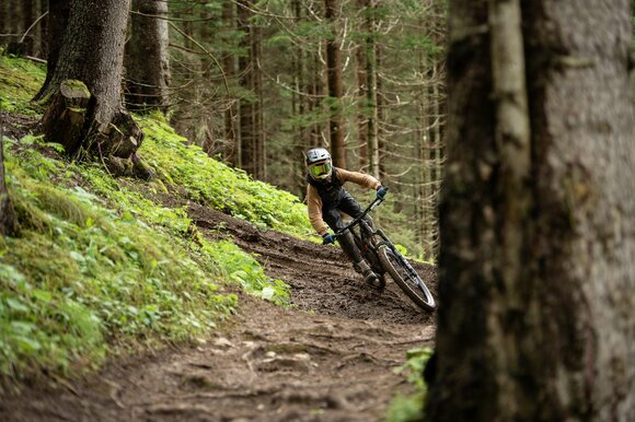 Downhill Grubigstein | © Tiroler Zugspitz Arena/Nikola Radovic