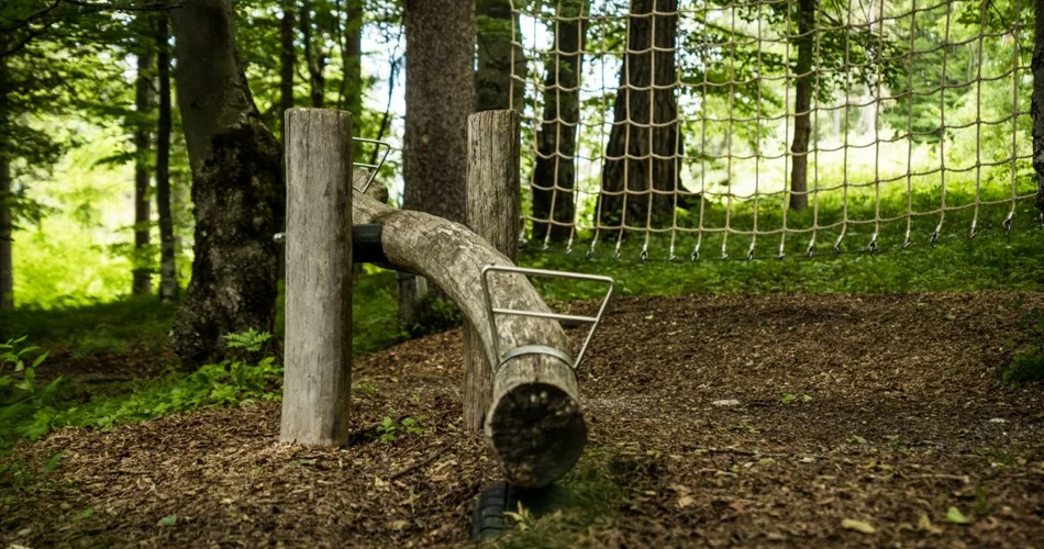 Wippe aus Holz und ein Kletternetz umgeben von Wald | © TZA