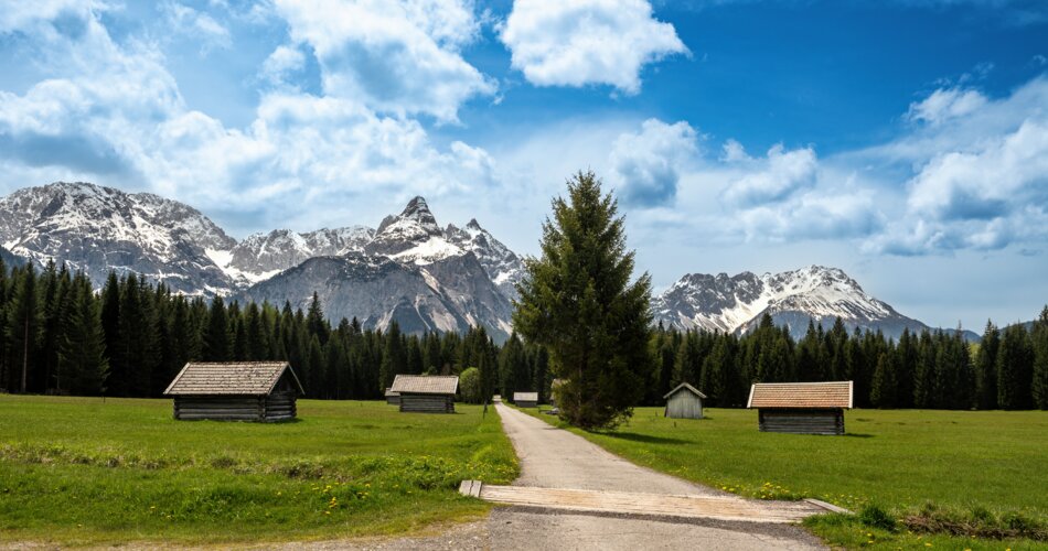 Fünf Holzstadl an einem Weg mit gras grünen Wiesen und einem dunkel grünen Tannenwald im Hintergrund mit Blick zu verschneiter Bergkette. | © Tiroler Zugspitz Arena | Danijel Jovanovic