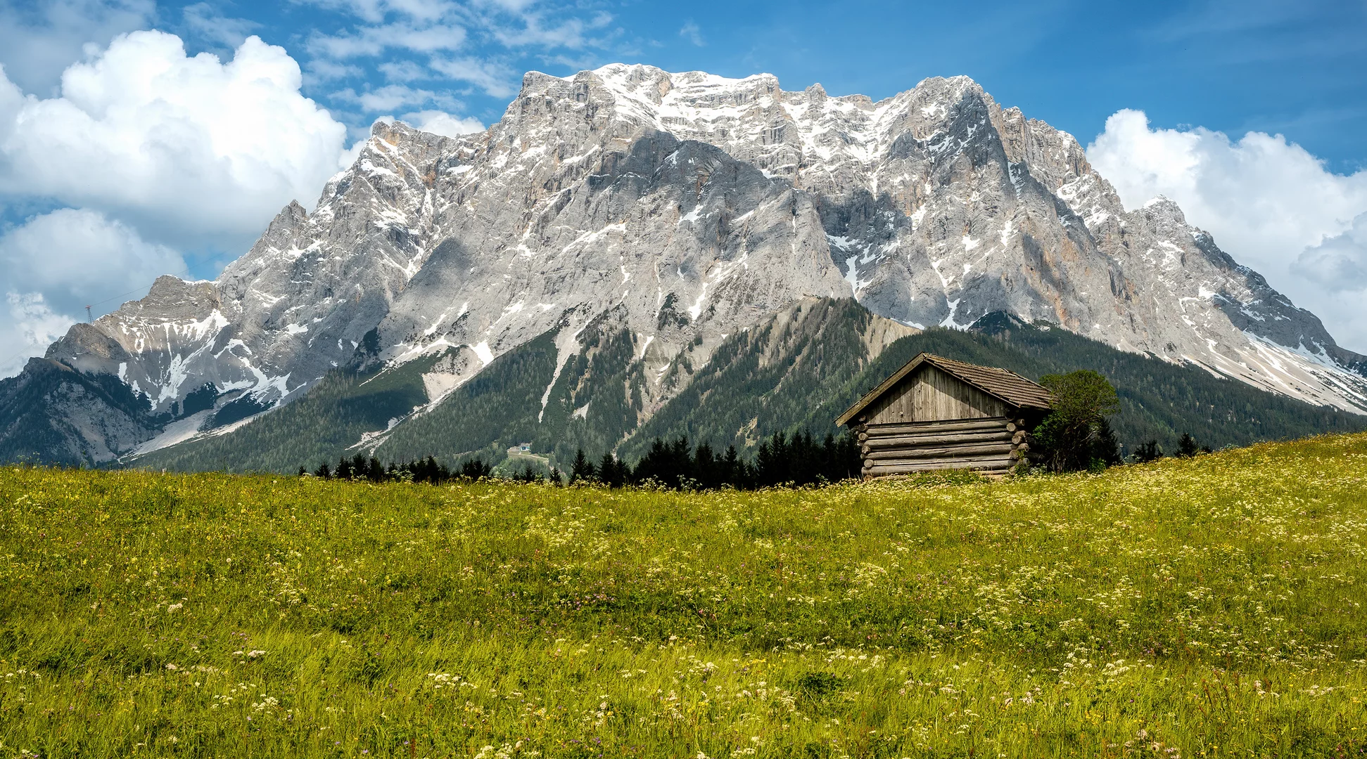 Die Zugspitze im Frühling | © Tiroler Zugspitz Arena | Danijel Jovanovic Eine Wiese mit gelben Blumen, dahinter die Zugspitze | © Tiroler Zugspitz Arena | Danijel Jovanovic