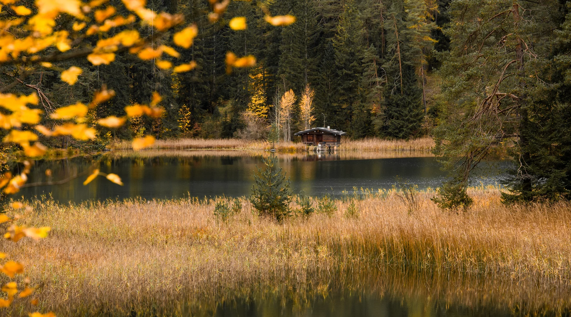 Autumn at the Mittersee | © Tiroler Zugspitz Arena/Bianca McCarty A lake and a wooden hut surrounded by an autumnal forest | © Tiroler Zugspitz Arena/Bianca McCarty