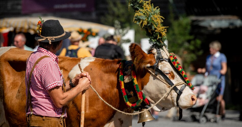 Eine Kuh mit prächtigem Kopfschmuck und ein Mann in Tracht | © Tiroler Zugspitz Arena/BiancaMcCarty