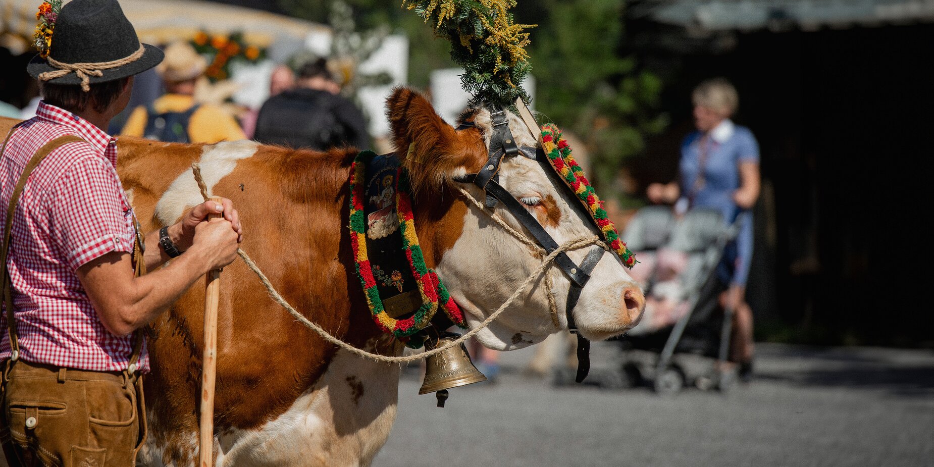 Alpine cattle drive | © Tiroler Zugspitz Arena/BiancaMcCarty A magnificently decorated cow | © Tiroler Zugspitz Arena/BiancaMcCarty