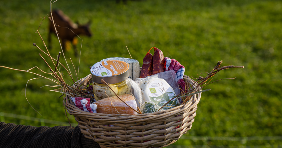 lunch basket with goats in the background 