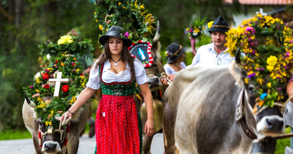 Kühe mit prächtigem Kopfschmuck und ein Mann und eine Frau in Tracht