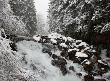 A stream in winter with snow | © Tiroler Zugspitz Arena/Zotz Lea