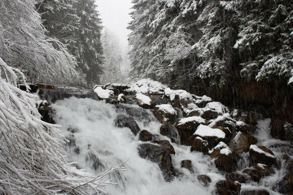 A stream in winter with snow | © Tiroler Zugspitz Arena/Zotz Lea