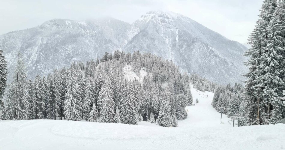 Skigebiet Bichlbach im Winter | © Tiroler Zugspitz Arena/Anna Edes