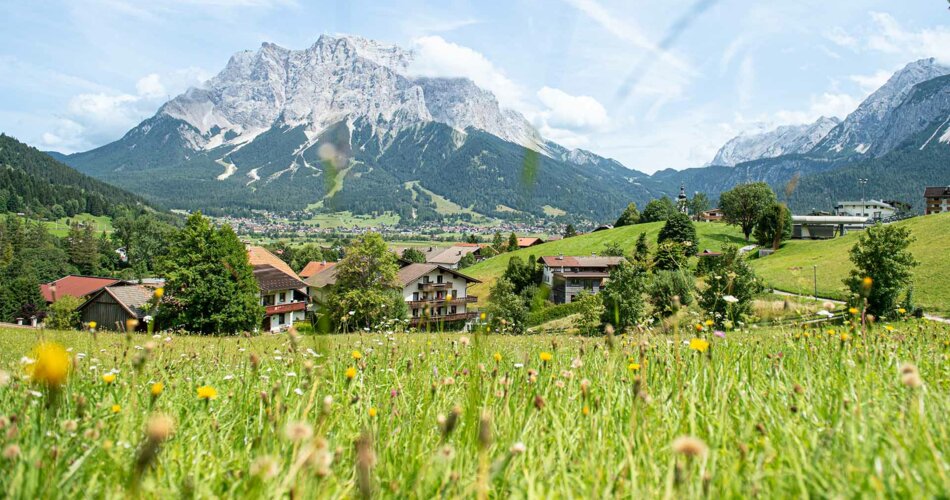 Die Zugspitze, blühende Wiesen und Ort Lermoos | © Tiroler Zugspitz Arena