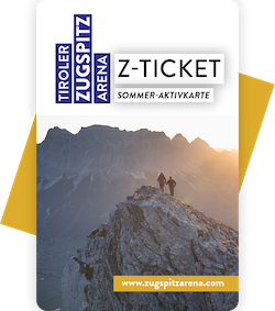 A graphic of the Z-Ticket