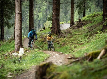Radfahrer auf Trail | © Tiroler Zugspitz Arena/Nikola Radovic