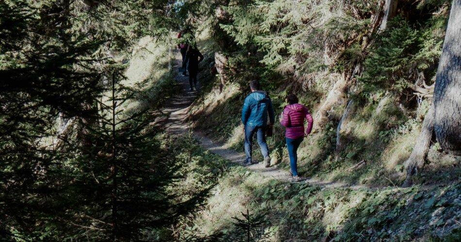 Mehrere Menschen gehen auf einem Weg im Wald