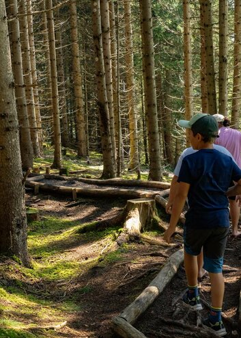 Kinder auf einem Pfad im Wald | © Tiroler Zugspitz Arena/V.Schennach