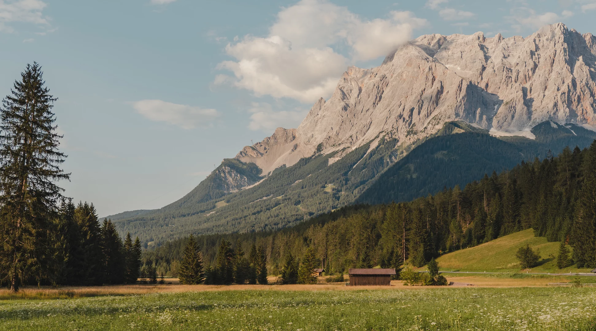 Zugspitze | © Tiroler Zugspitz Arena/Sam Oetiker Die Zugspitze und blühende Wiesen | © Tiroler Zugspitz Arena/Sam Oetiker