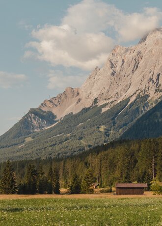 The Zugspitze and flowering meadows | © Tiroler Zugspitz Arena/Sam Oetiker
