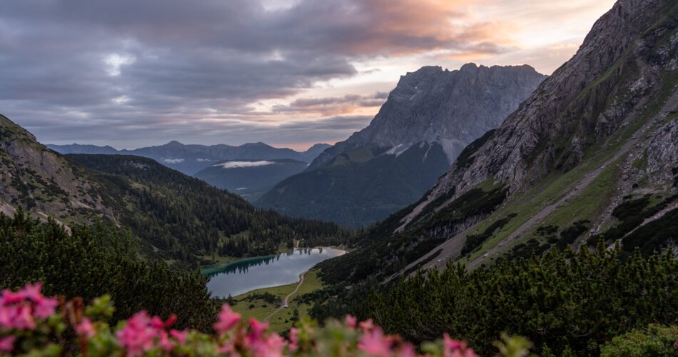 The Zugspitze mountain, pink mountain flowers and a mountain lake in the foreground | © Sam Oetiker/ Tiroler Zugspitz Arena