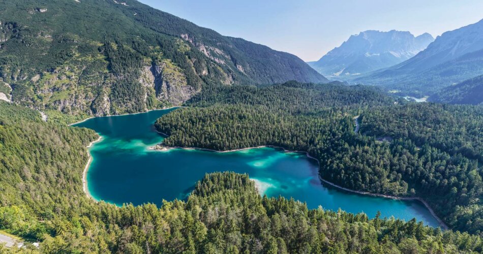 See mit Wald | © Tiroler Zugspitz Arena/Valentin Schennach