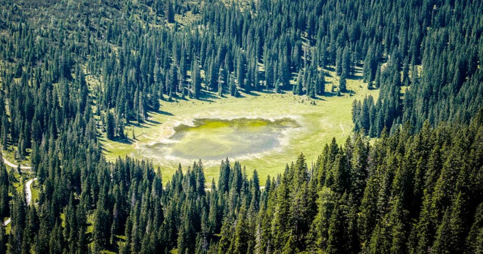 Lake with trees | © Tiroler Zugspitz Arena/Valentin Schennach