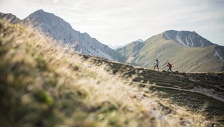An alpine meadow in the foreground. Two hikers and mountains can be seen behind it. | © Tiroler Zugspitz Arena/C. Jorda