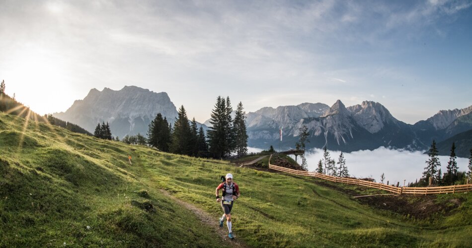 A man is running along a path through a mountain meadow. Mountain panorama with the Zugspitze in the background. | © Harald Wiesthaler