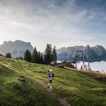 Trail running in the Tiroler Zugspitz Arena | © Harald Wiesthaler A man is running along a path through a mountain meadow. Mountain panorama with the Zugspitze in the background. | © Harald Wiesthaler