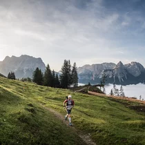 Ein Mann läuft auf einem Weg durch eine Bergwiese. Im Hintergrund Bergpanorama mit der Zugspitze. | © Harald Wiesthaler