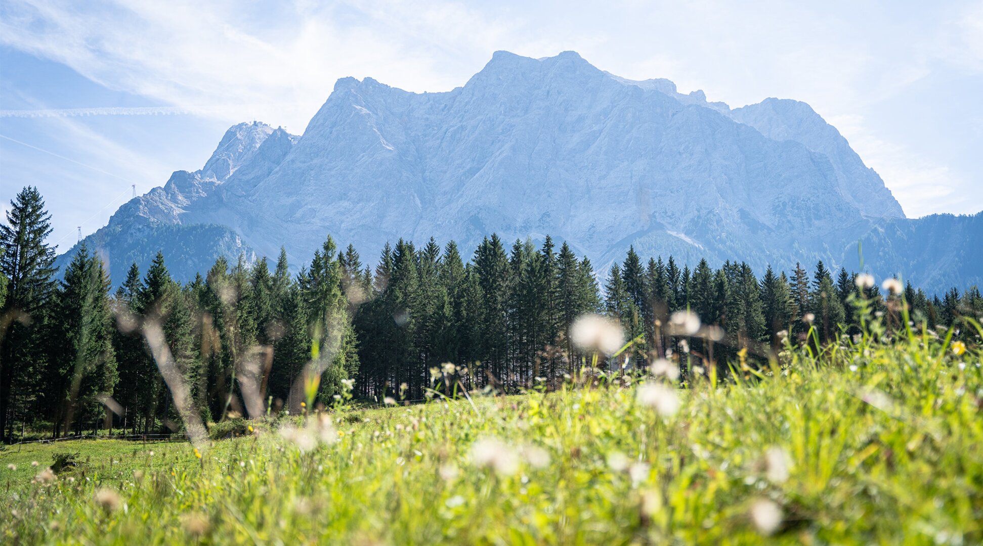 The Zugspitze and a flowering meadow | © Tiroler Zugspitz Arena/Nikola Radovic