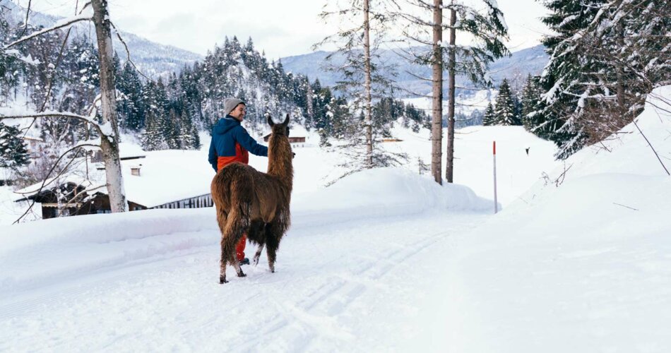 Lama hiking in the winter | © Tiroler Zugspitz Arena/Oostenrijk TV