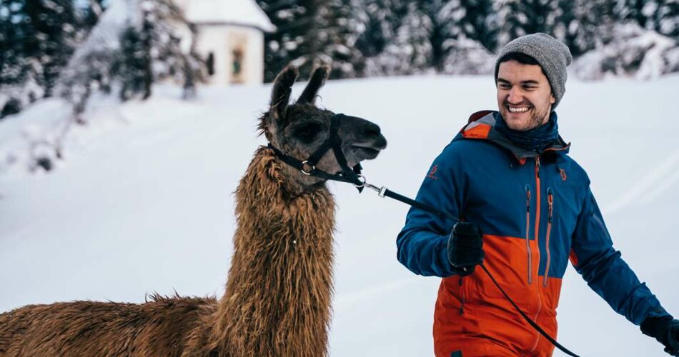 Lama hiking in the winter | © Tiroler Zugspitz Arena/Oostenrijk TV