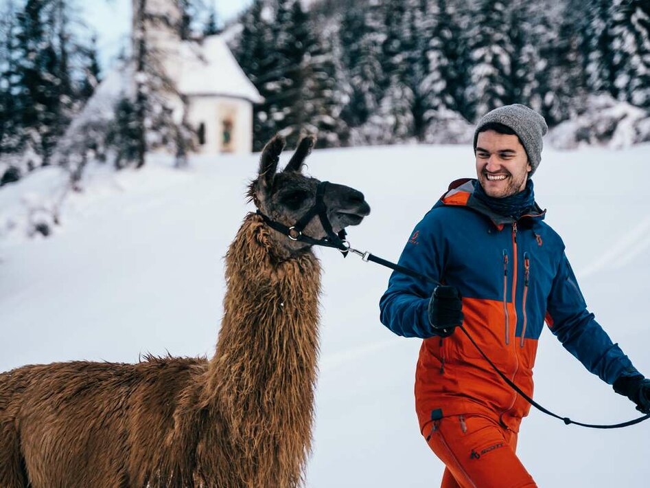 Lama hiking in the winter | © Tiroler Zugspitz Arena/Oostenrijk TV