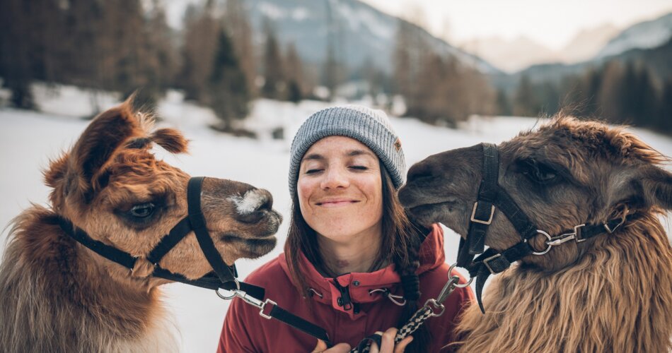 Woman between two llamas in the snow | © Tiroler Zugspitz Arena/C. Jorda