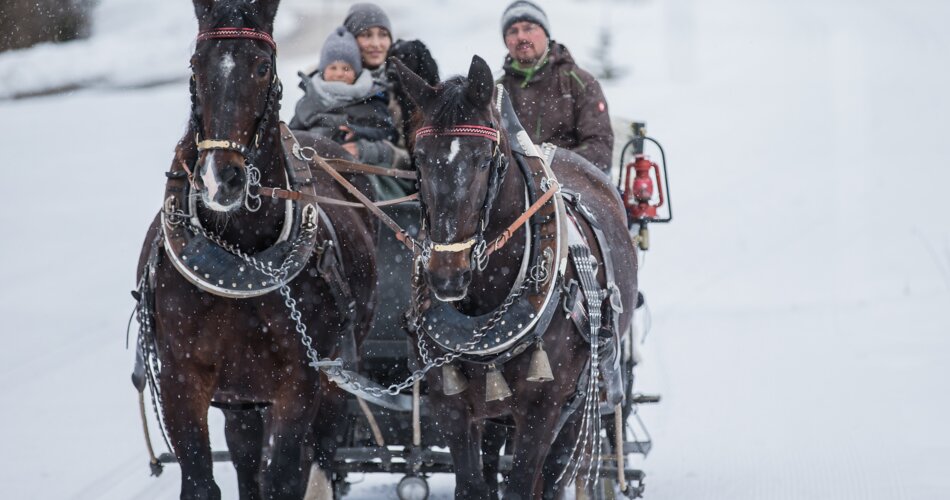 A family sits in a horse-drawn carriage and drives through a snowy winter landscape | © TZA/ C.Jorda