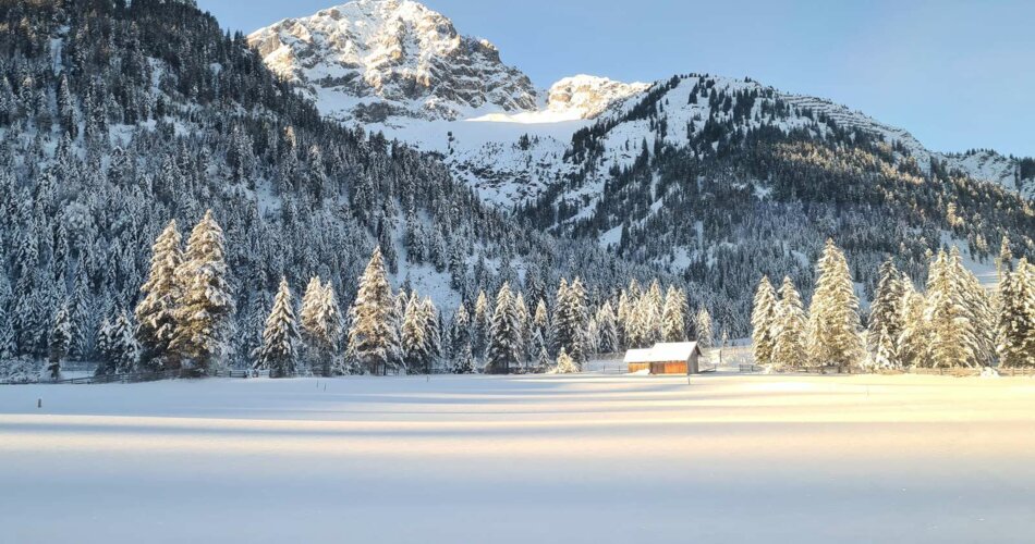 Berge und verschneiter Wald im Sonnenlicht | © Tiroler Zugspitz Arena/Edes Anna