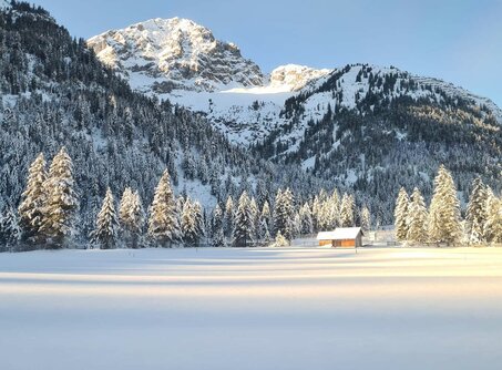 Mountains and snow-covered forest in sunlight | © Tiroler Zugspitz Arena/Edes Anna