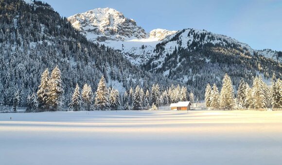 Mountains and snow-covered forest in sunlight | © Tiroler Zugspitz Arena/Edes Anna