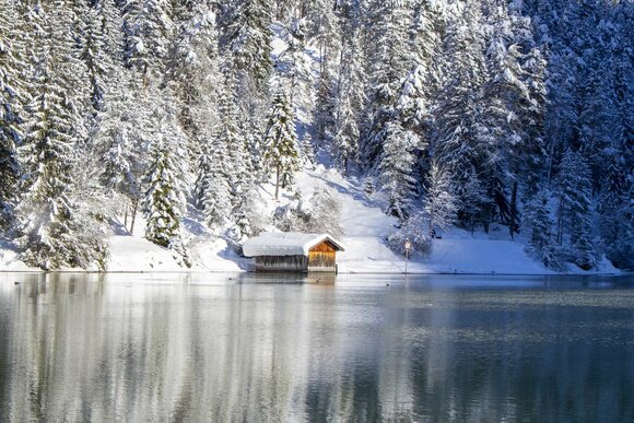 The lake, snow-covered forest, and a hut | © Tiroler Zugspitz Arena/Zotz Lea