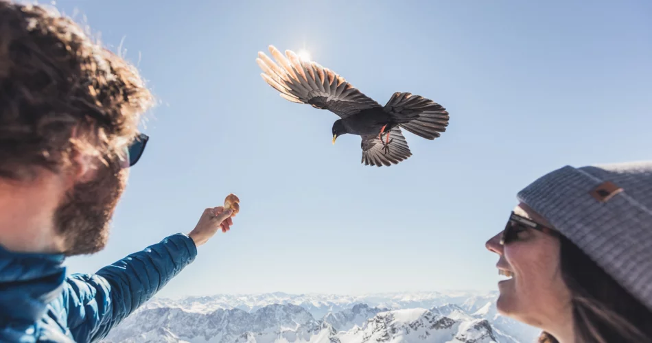 Ein Vogel über einem Paar auf der Zugspitzplattform | © Tiroler Zugspitz Arena/ Christoph Jorda