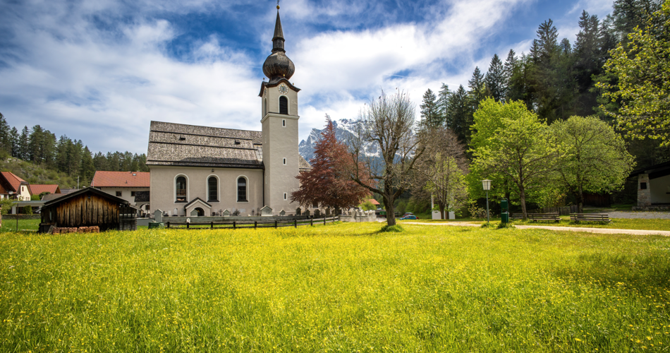 Eine Blumenwiese mit blühenden gelben Blumen und einer Hütte | ©  Tiroler Zugspitz Arena | Danijel Jovanovic