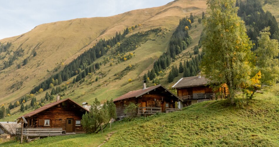 Three wooden houses in front of a green hilly landscape.  | © Tiroler Zugspitz Arena/Bianca McCarty