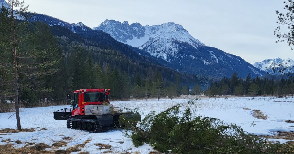 A snow groomer transports trees and shrubs | © Tiroler Zugspitz Arena